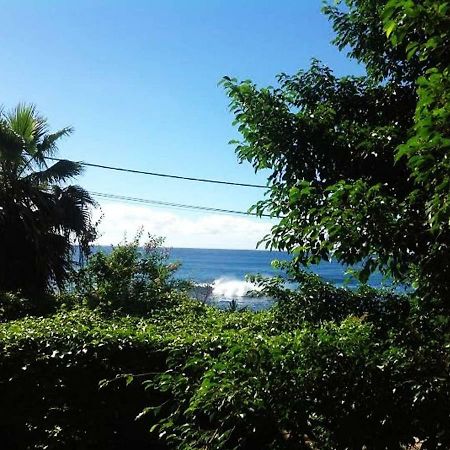 Charming 2Br Guest Suite With Ocean View Praia Ngoại thất bức ảnh