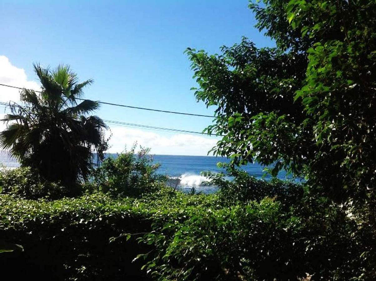 Charming 2Br Guest Suite With Ocean View Praia Ngoại thất bức ảnh